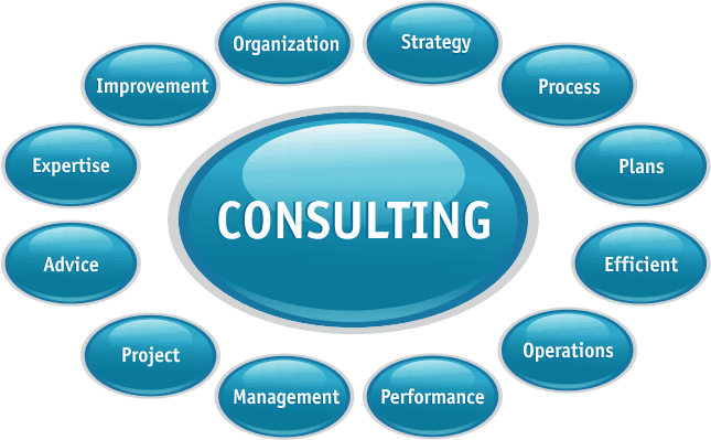 How To Be a Consultative Learning Partner: Consultant Roles, Skills and Competencies
